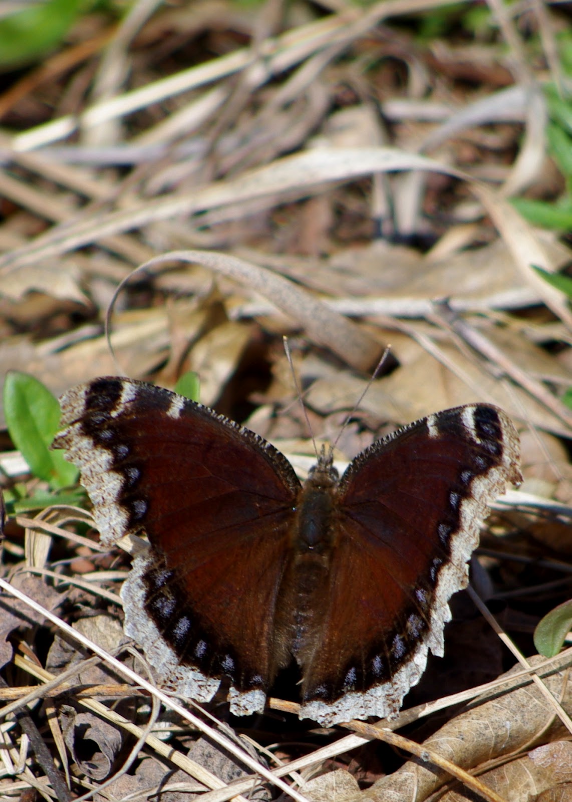 Life in Rice Lake, WI 2012/04