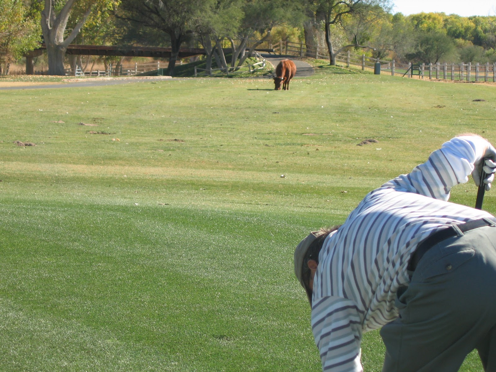 greenroads "Tin Cup" Tubac Golf Resort