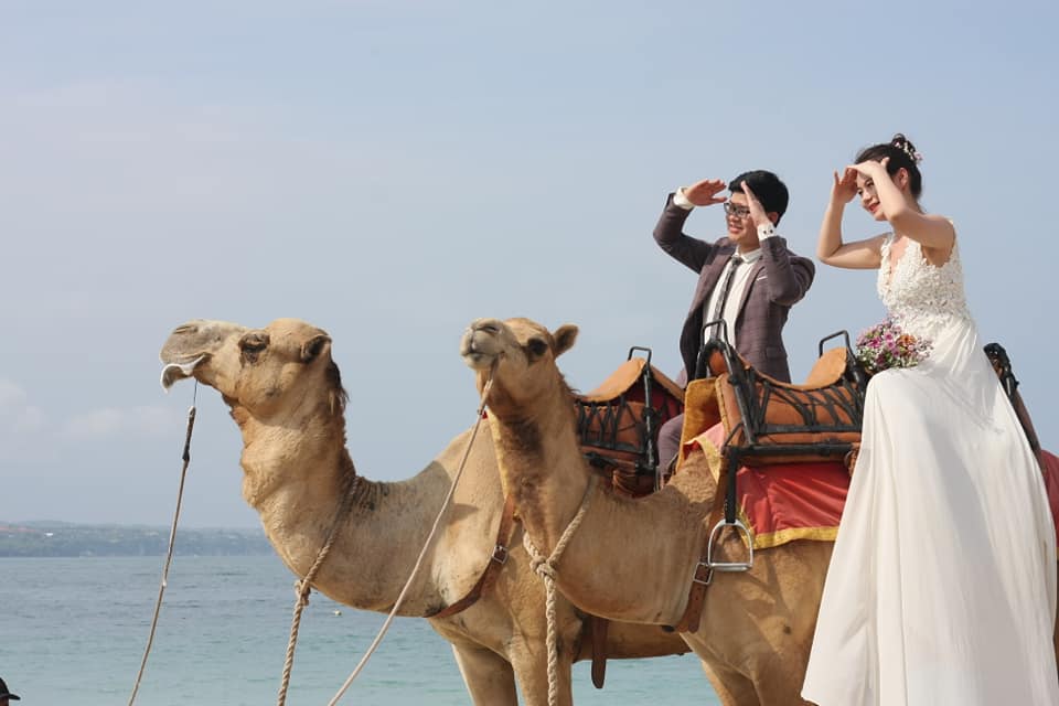 Camel ride