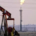 Mercado petrolero está estabilizándose y OPEP declara que precio en US$60 por ahora "está bien"