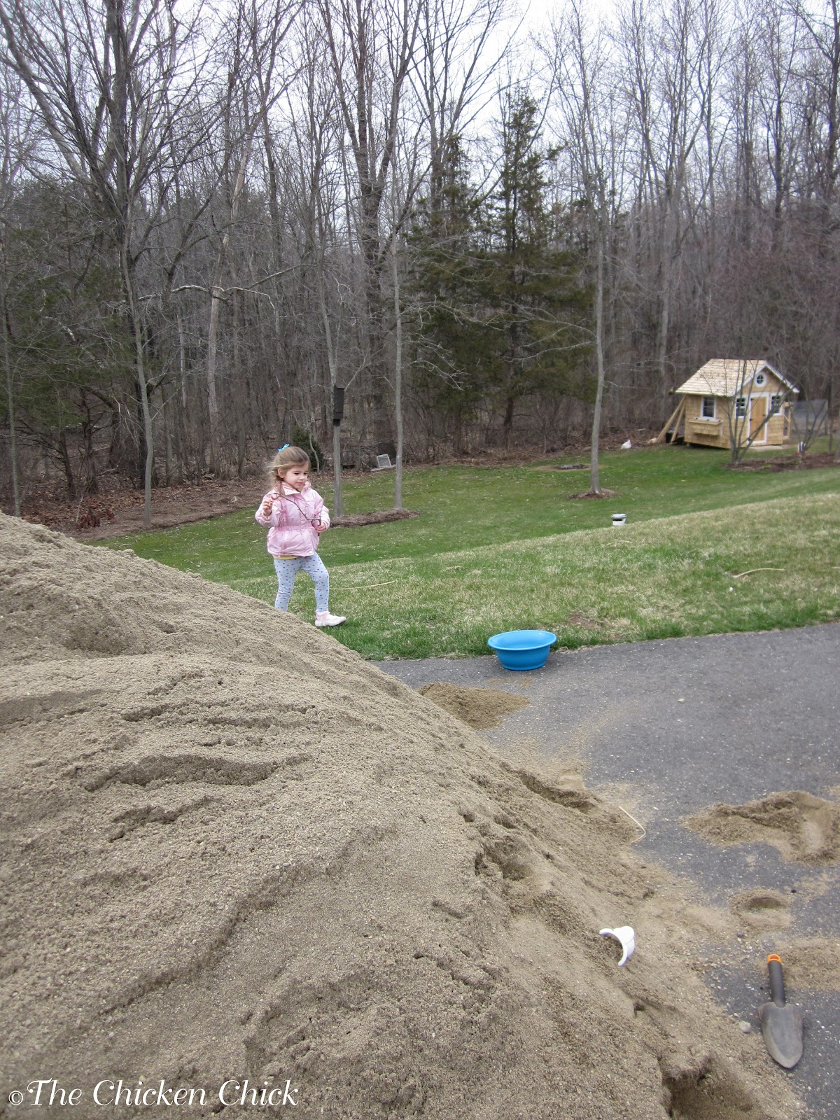 The Chicken Chick® Chicken Coop Bedding Sand, the Litter Superstar