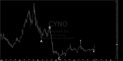 CYNO+2.png
