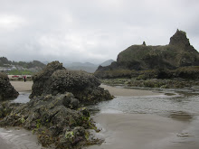 Tidal pools