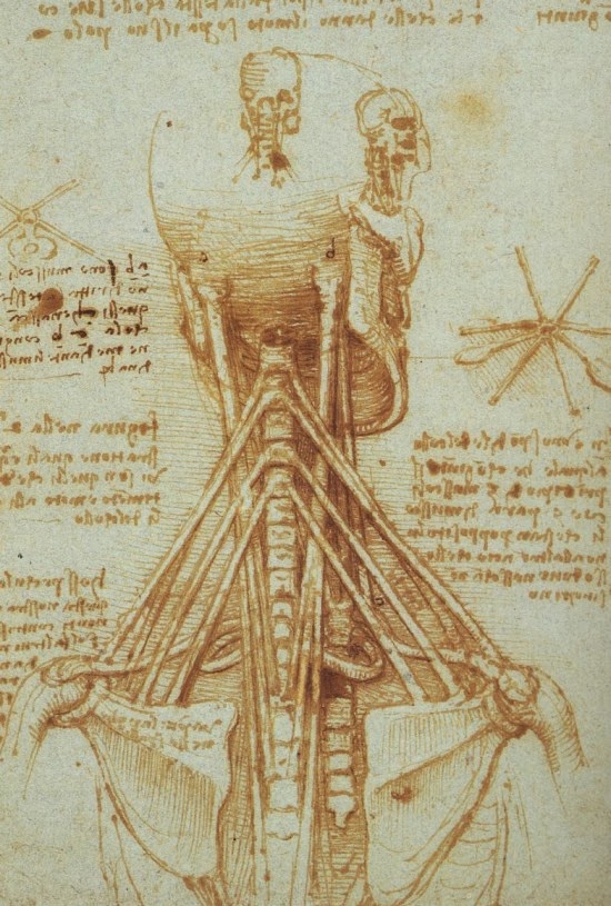 Research paper on leonardo da vinci