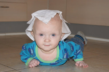 Mr. Napkin-head