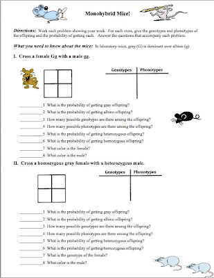 Lab 3 Punnett Squares Worksheet Answer