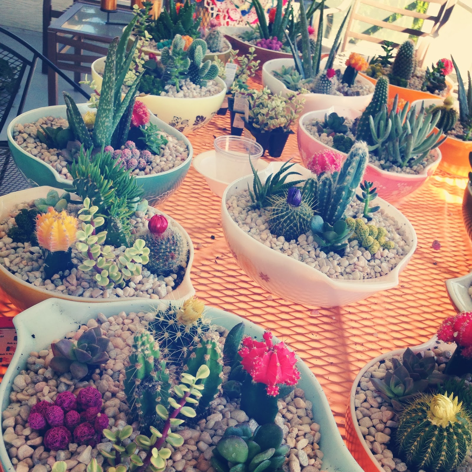 Loose Shoelaces DIY Cacti Wedding Centerpieces