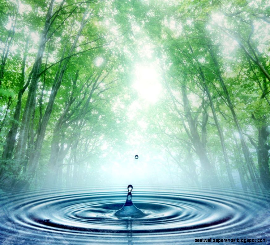 Water Drop In The Forest Android Wallpapers 960x854 Mobile Phone Water Drop In The Forest Android Wallpapers 960x854 Mobile Phone