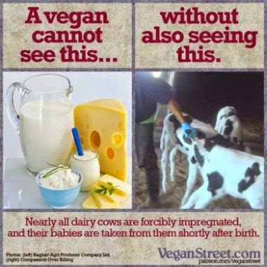 you see 'milk' and 'cheese'... i see enslavement, rape, theft, death, a mother's grief...