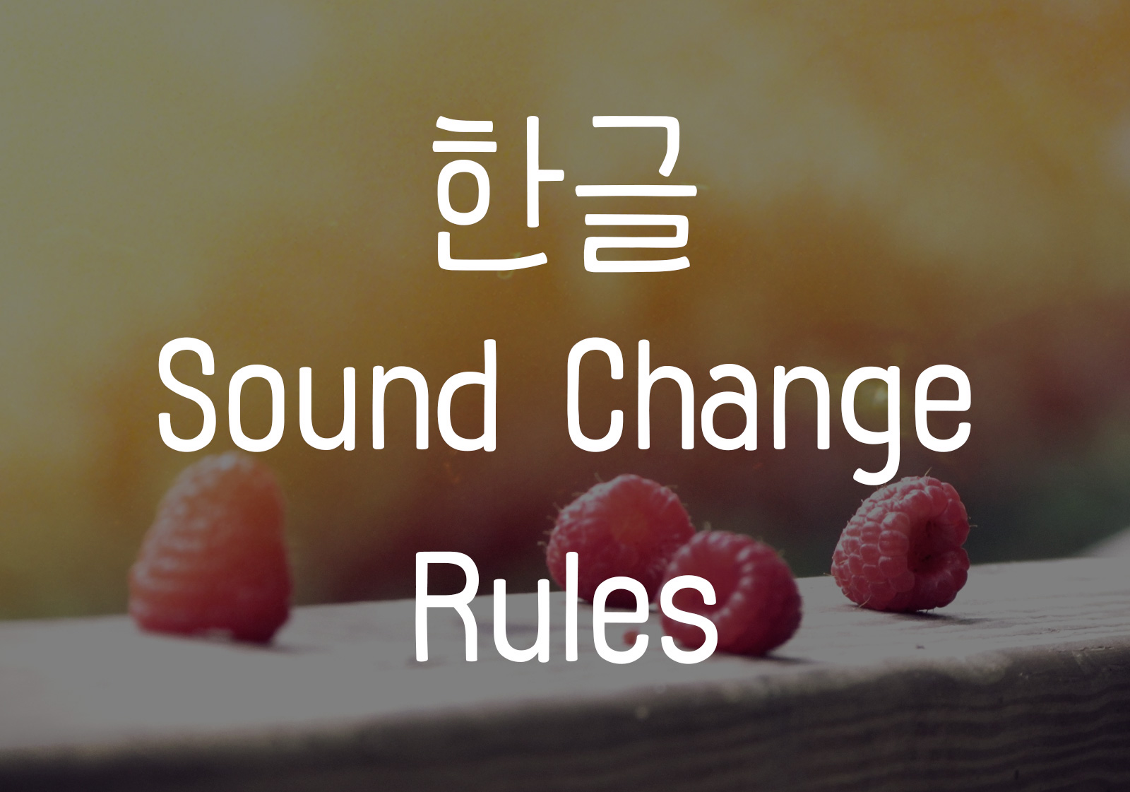 한글 Sound Change Rules Journal Korean