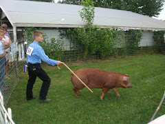 Wick and his Duroc