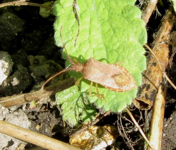jardin bon rencontre