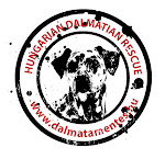 Dalmata Mentés - Hungarian Dalmatian Rescue