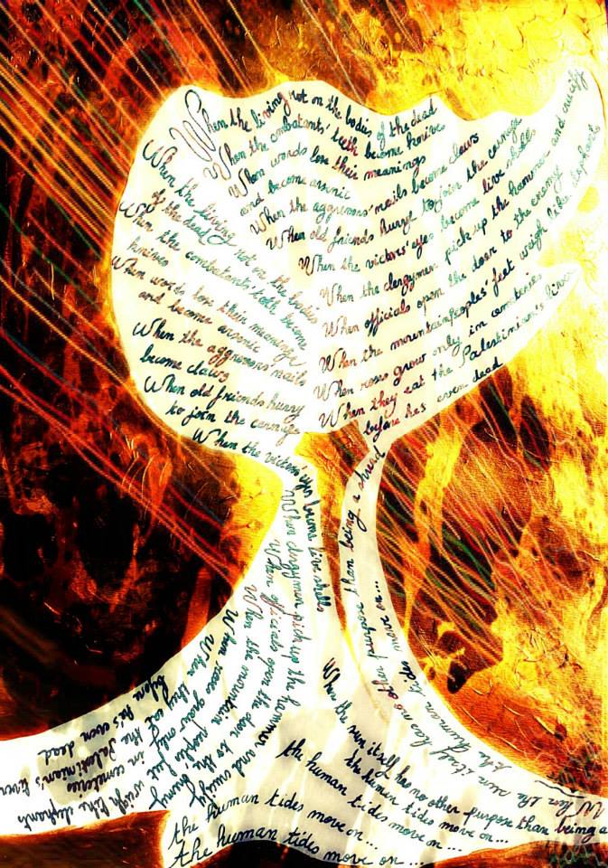 pamelachrabiehblog.com