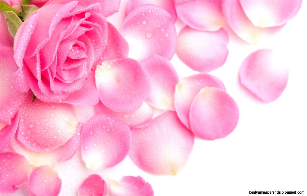 Full Wallpaper HD Girly for PC and Laptop – Design Inspiration Full Wallpaper HD Girly for PC and Laptop – Design Inspiration