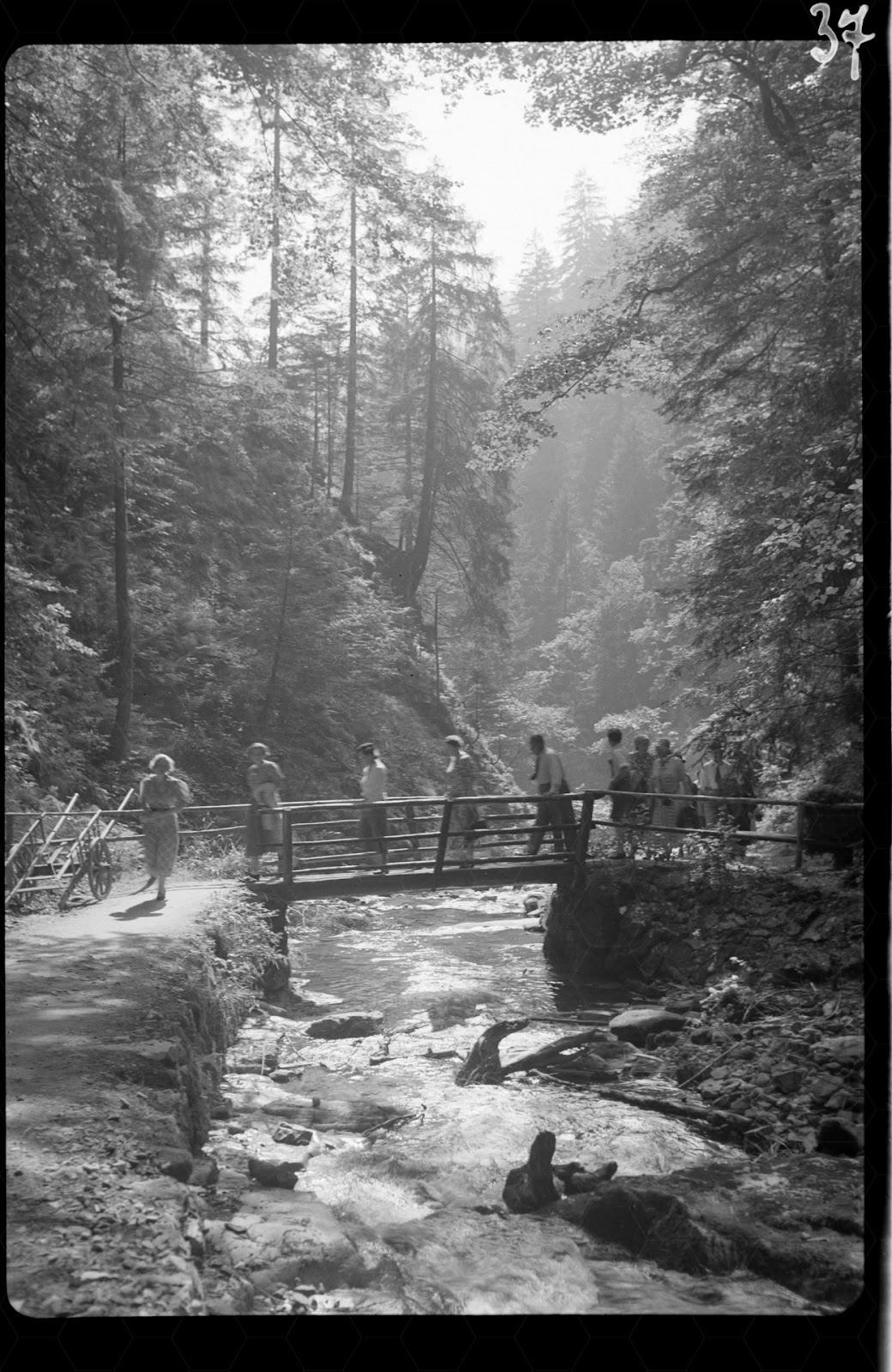 Wandergruppem im Feldberggebiet - um Mitte 1950
