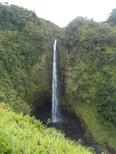 Akaka falls hilo, hawaii