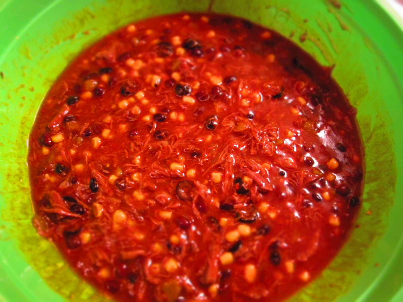 The Yummy Spoon Enchilada Noodle Caboodle