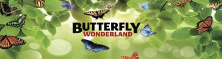 Butterfly wonderland discount coupons