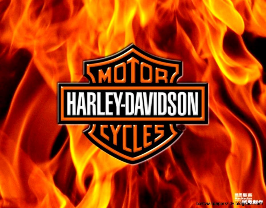 Free Harley Davidson Wallpapers Wallpaper Cave Free Harley Davidson Wallpapers Wallpaper Cave