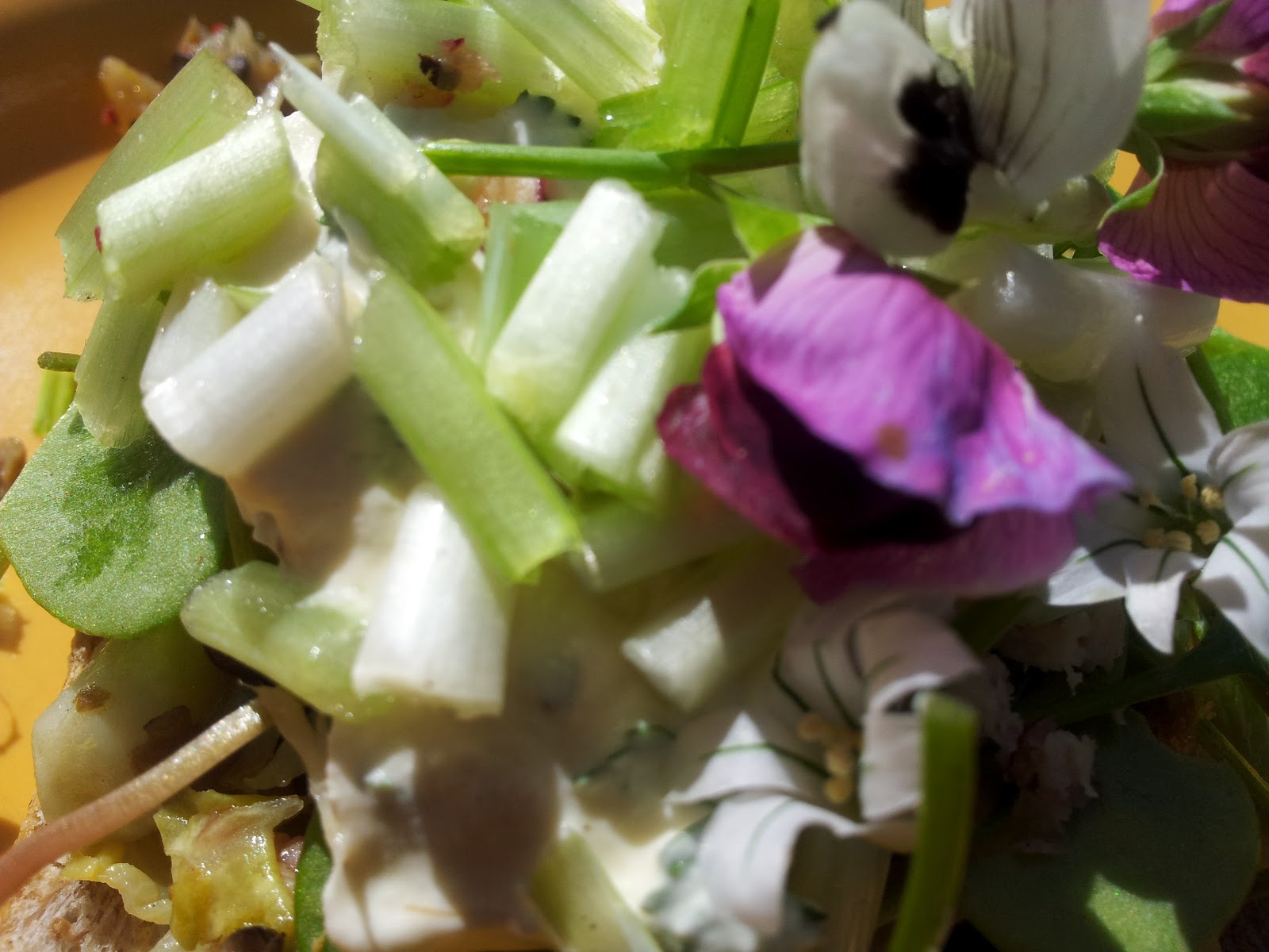 Jeannie's Kitchen Onion Weed just as good as spring onions