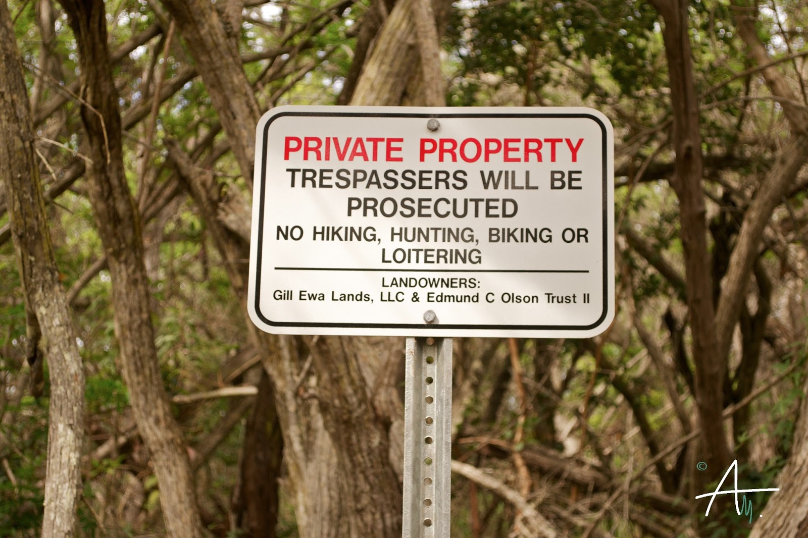 Palehua The Hi Escapade