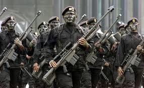 inside los zetas cartel african narco news