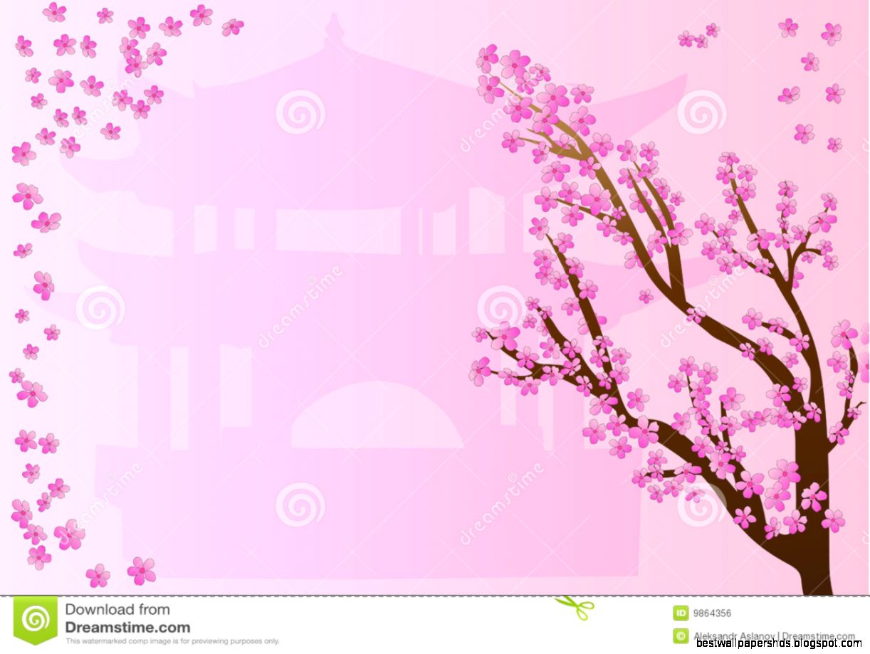 Cherry Blossoms On Pink Design Royalty Free Stock Image Image Cherry Blossoms On Pink Design Royalty Free Stock Image Image
