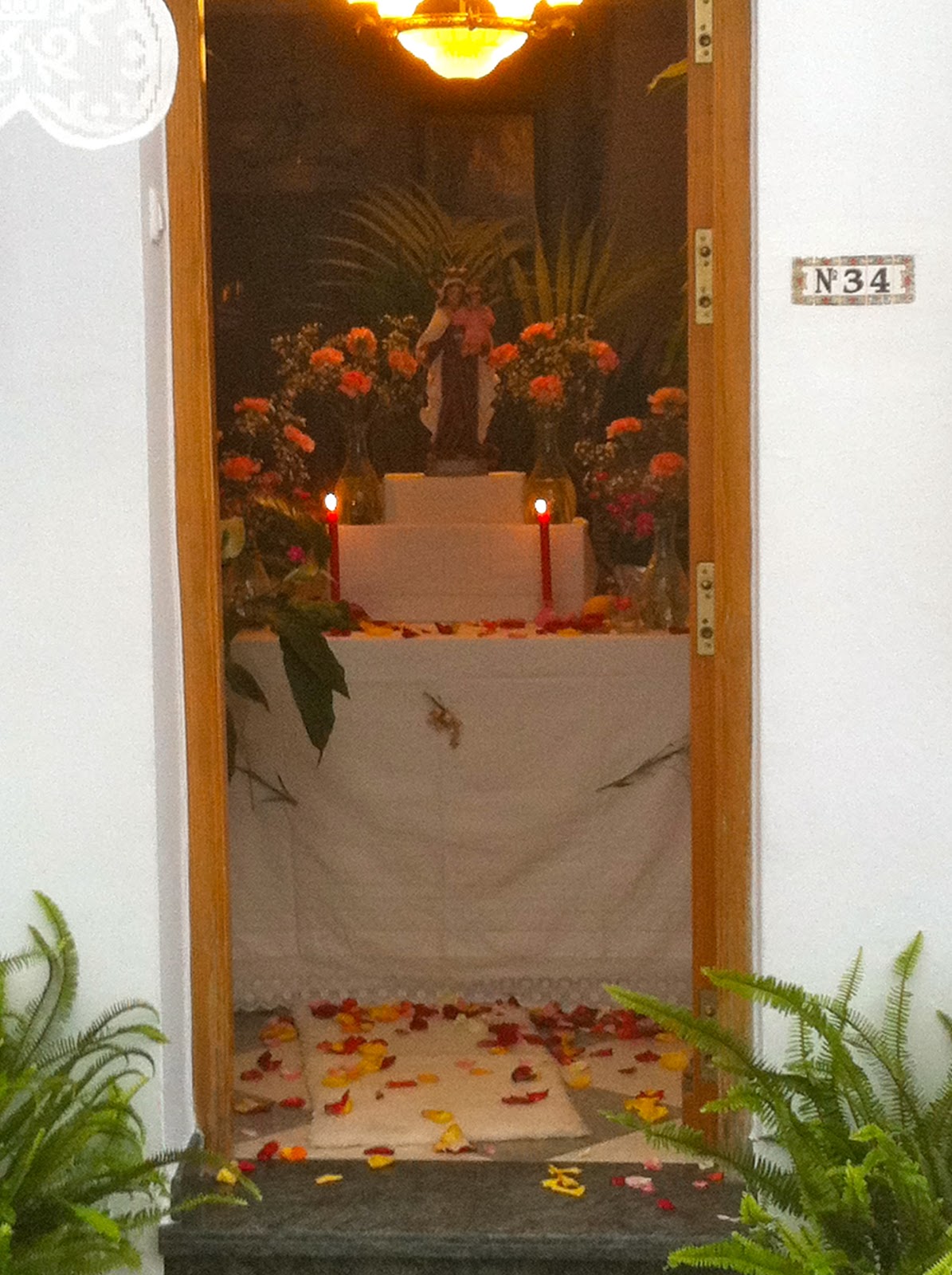Casa domingo: juni 2011