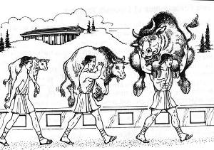 milo_carrying_bull_calf_op.jpg