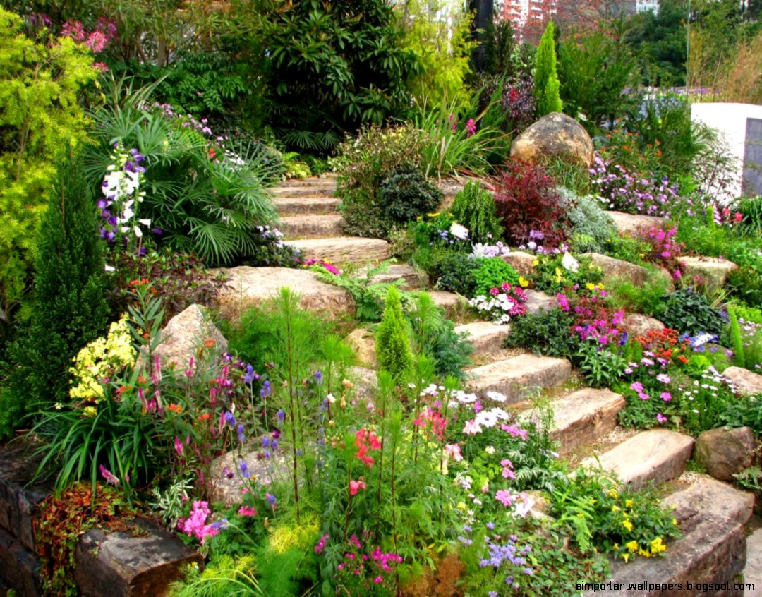 Garden Romantic Stone Stairway Beautified With Bamboo Palms And Garden Romantic Stone Stairway Beautified With Bamboo Palms And