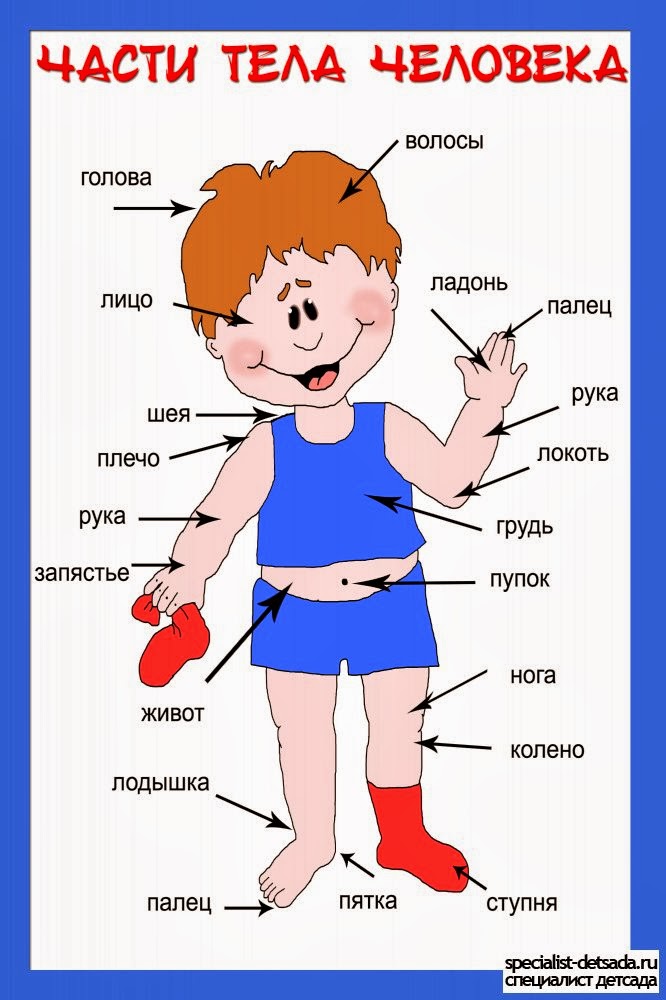 Ответы по Психологии на Экзамен