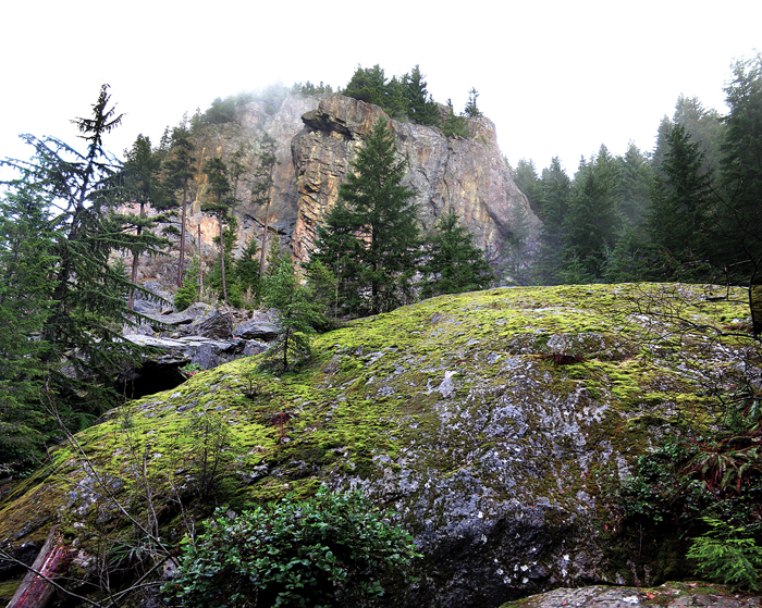How to Conquer the Oyster Dome Hike in Bellingham, WA