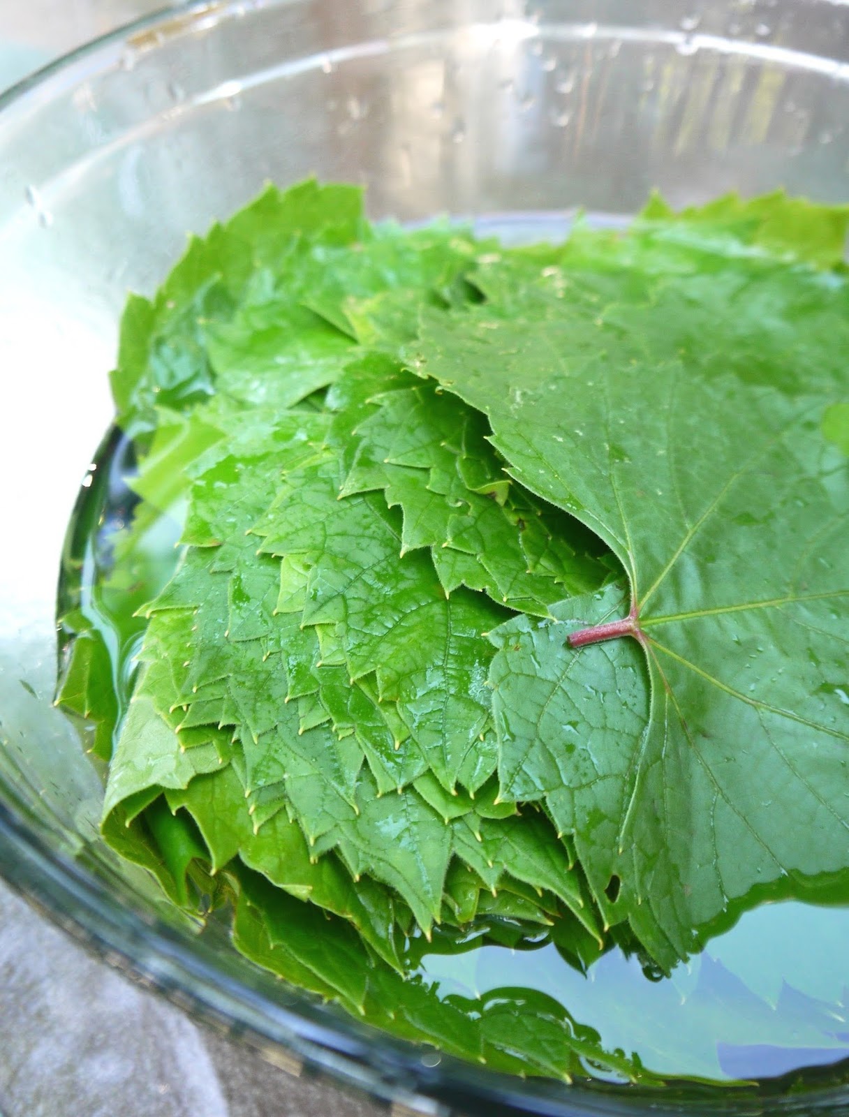Bint Rhoda's Kitchen How to Make Palestinian Rolled Grape Leaves, or Waraqa Dawali