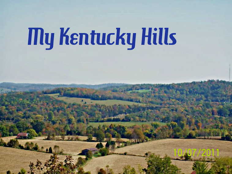 My Hills