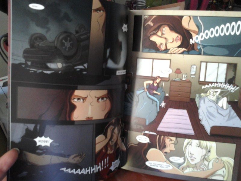 vampire academy graphic novel pdf