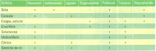 Principalele fitochimicale din vegetale Principalele fitochimicale din vegetale
