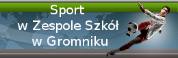 Sport w Zespole Szkół w Gromniku