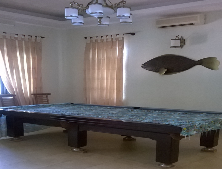 [Image: Villa%2Bpontus%2Bv%C5%A9ng%2Bt%C3%A0u8.png]