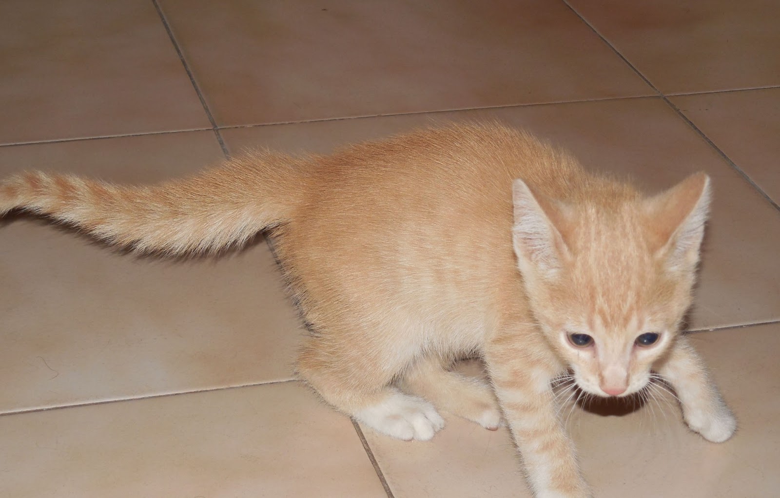 Mi pequeño gran mundo: Otro premio con cuestionario