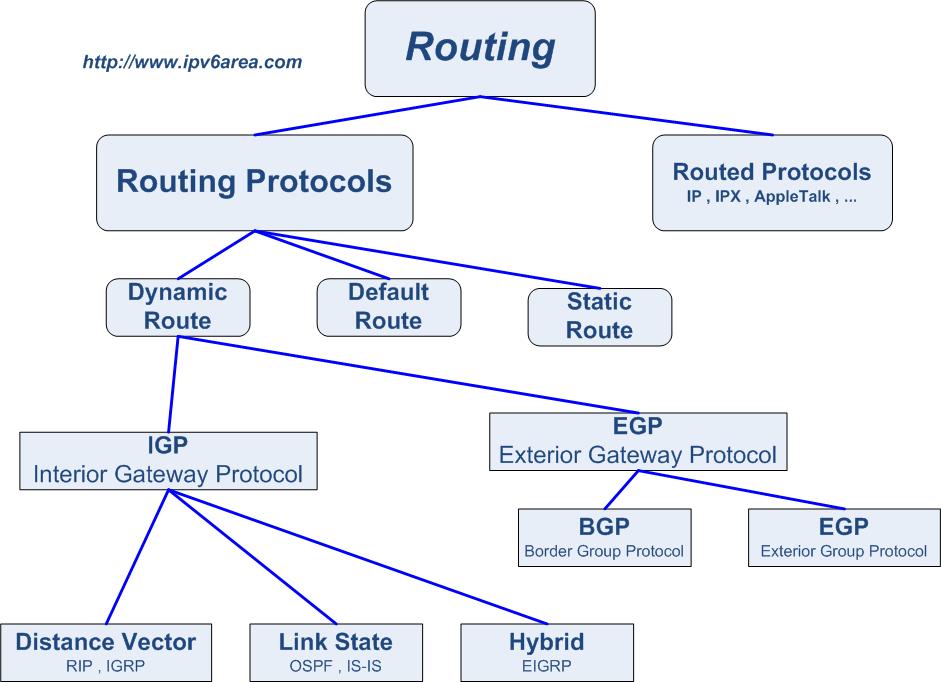 Routing Protocols
