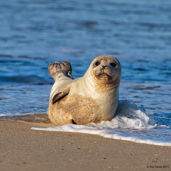 Everything Clicks A Photography Blog by Eve Turek Sealed...with