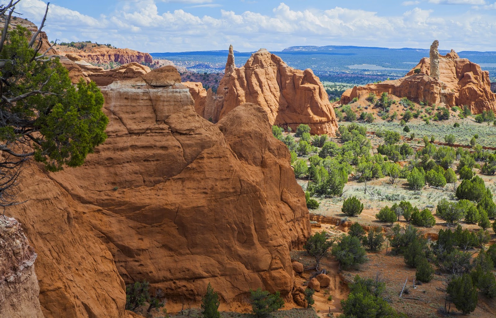Walking Arizona Landforms in Southern Utah