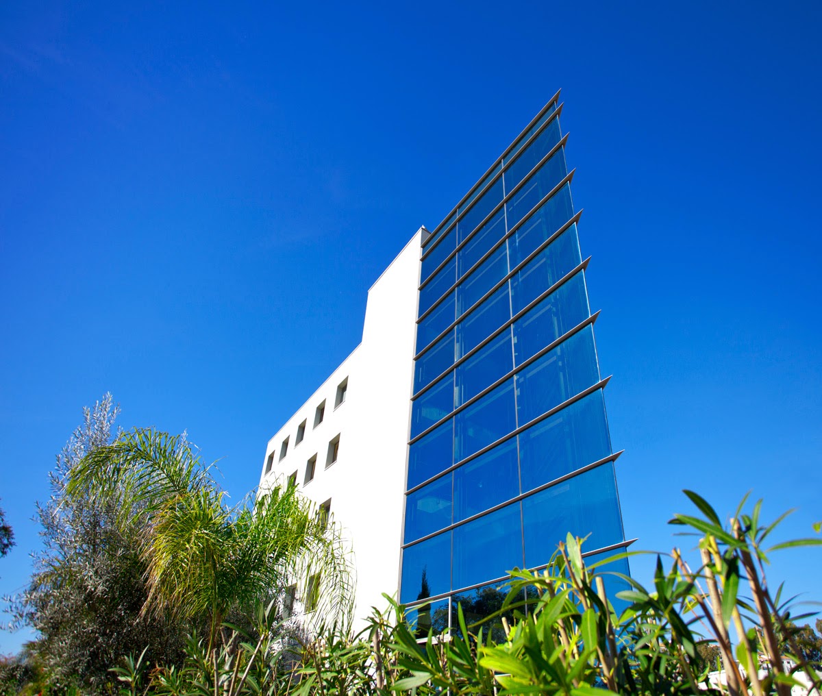 M.J. Liggan Marbella Views