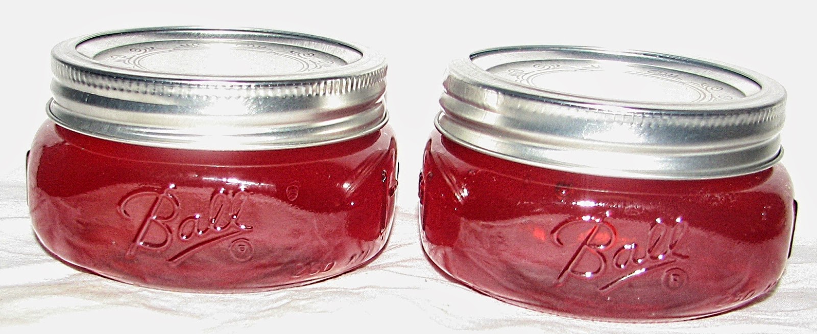 FOOD PRESERVING Jelly Ingredients
