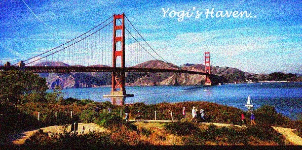 Yogi's Haven
