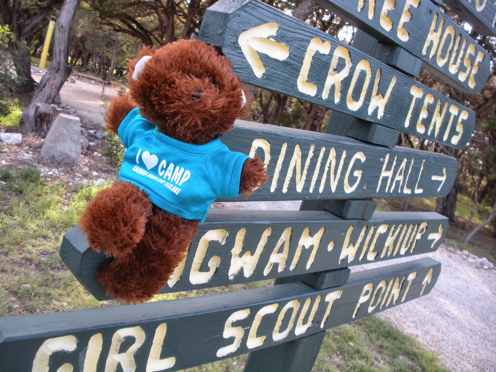 The Girl Scout Life Zeph!