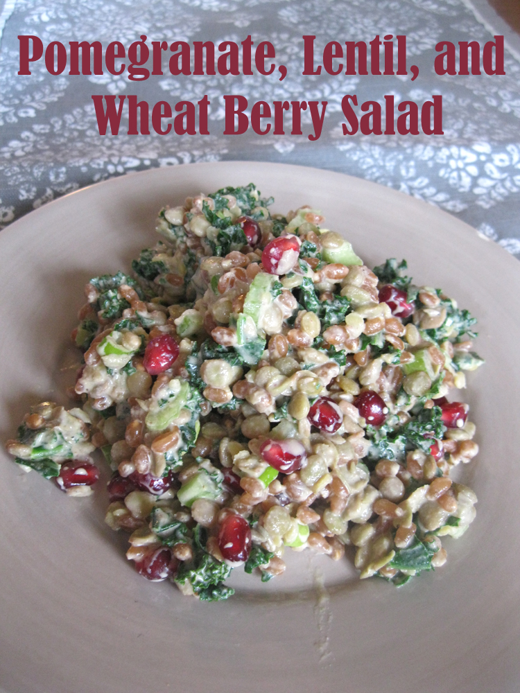 Amy's Nutritarian Kitchen Pomegranate, Lentil, and Wheat Berry Salad