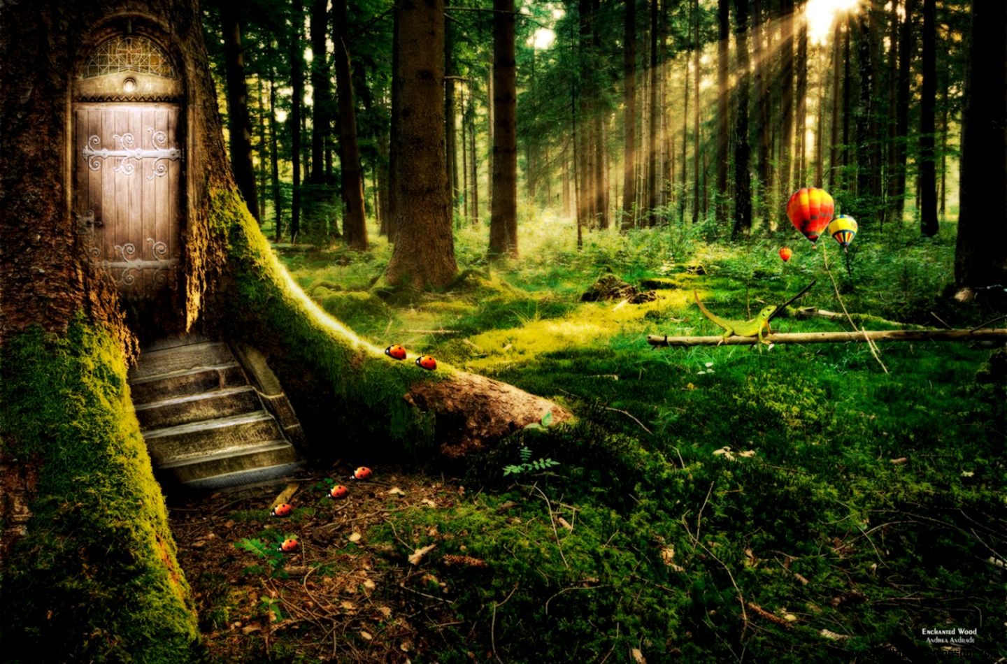 Wallpapers Robot Nature Free Forest Hd Hq 1600x1000 678268 Wallpapers Robot Nature Free Forest Hd Hq 1600x1000 678268