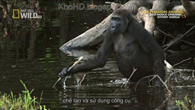 Mystery+Gorilla+(2009)+1080i+HDTV_KhoHD+(Viet)%5B10-56-39%5D(1).JPG